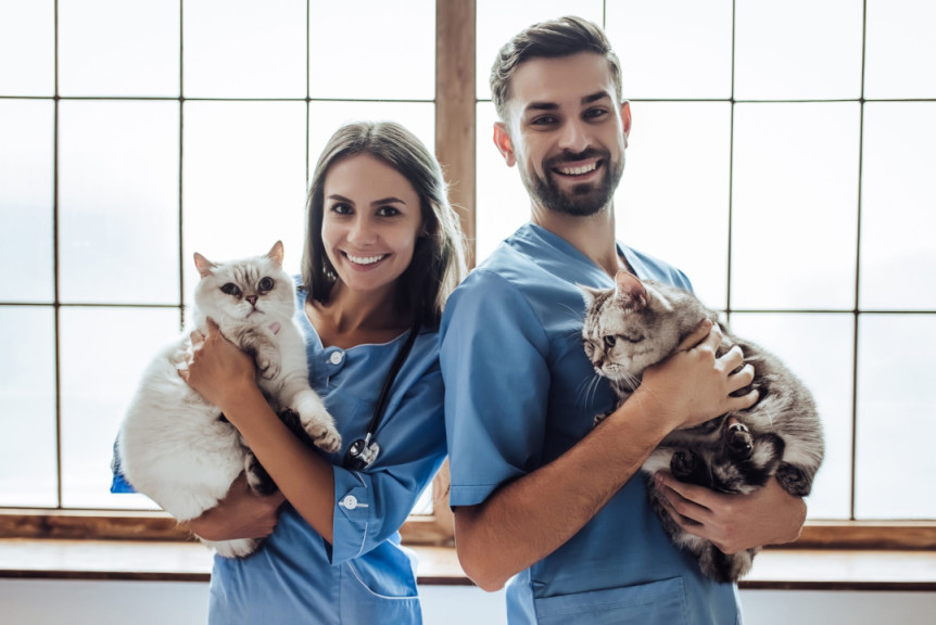 veterinarios