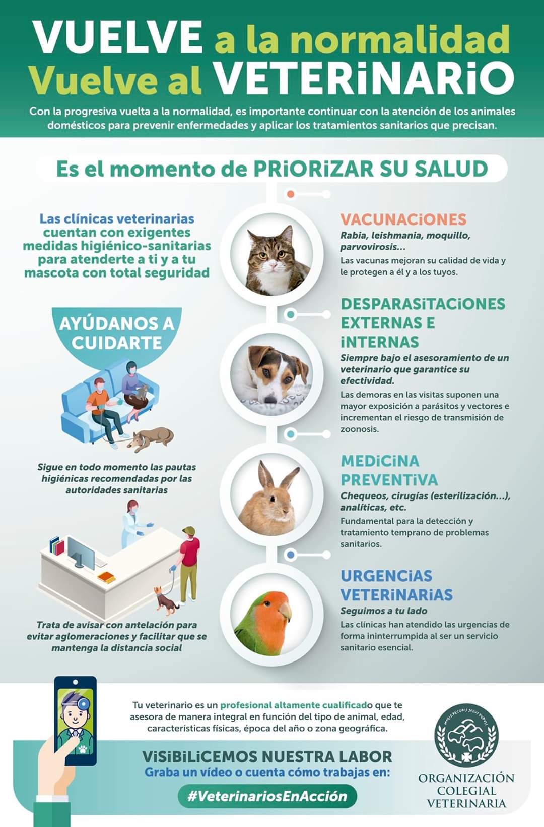 Vuelta a la normalidad con tu veterinario