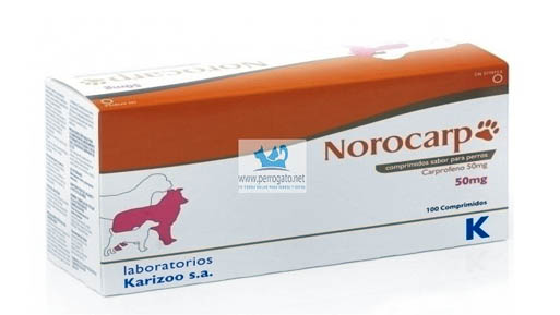 norocarp