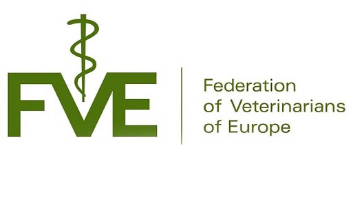 Colegio de veterinarios de Castellón | LA TELEMEDICINA, SEGÚN LA FEDERACIÓN  EUROPEA DE VETERINARIOS