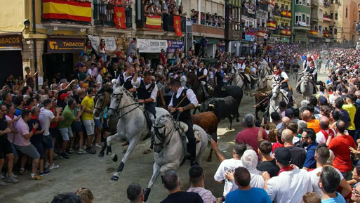 bous carrer castellon