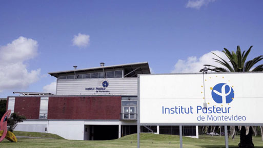 insti pasteur