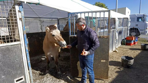 circ de nadal