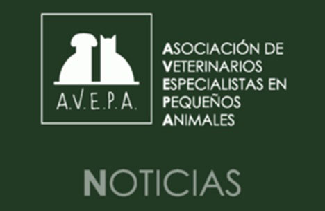 AVEPA NOTICIAS