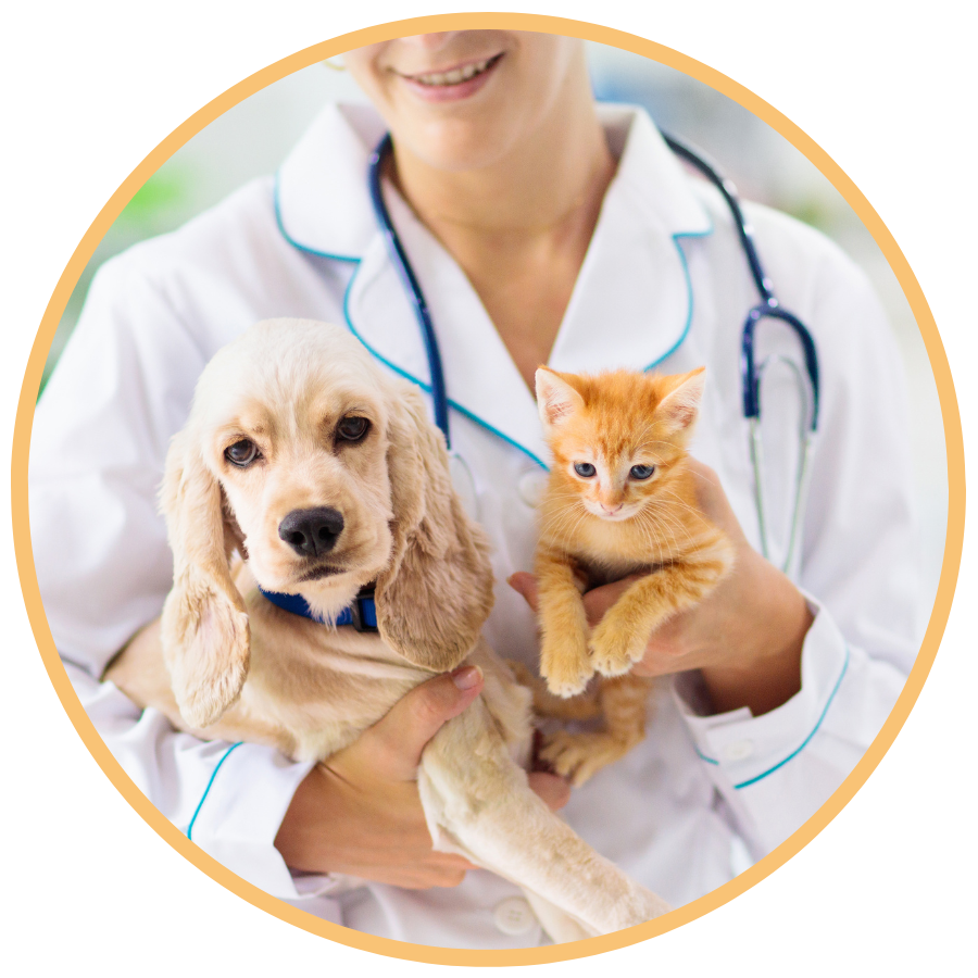 Veterinarios clinicos