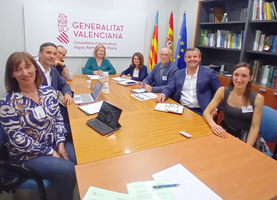 cvcv ramon llin