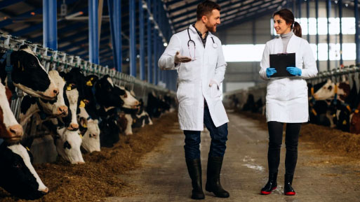 antimicrobiano