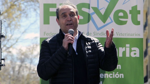fesvet martinez