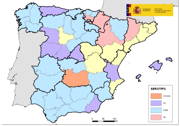lengua azul mapa 7oct25