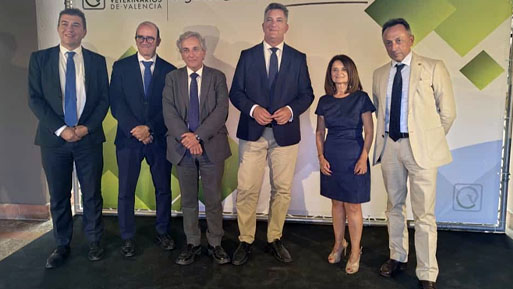 reunion sanidad cvcv