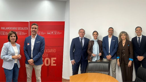 ocv pp psoe