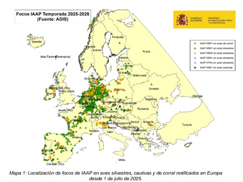 gripe aviar mapa europa 17nov25