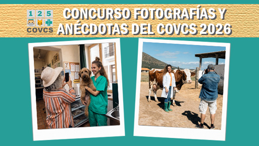 concurso foto anecdotas
