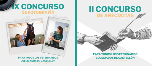 concursos 2026