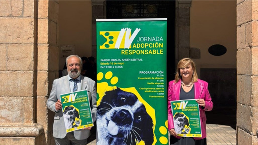 ayto cas jornada adop