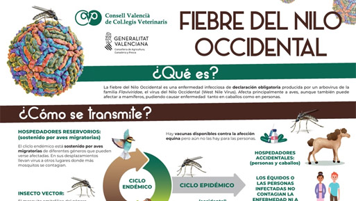 fiebre nilo news