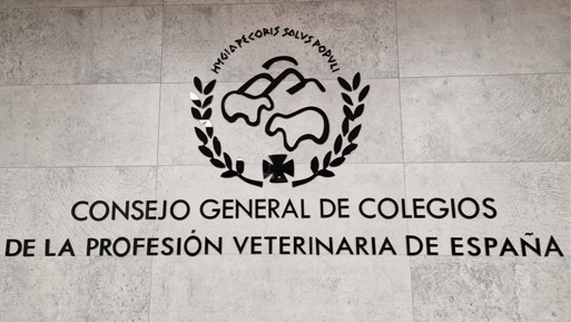 ocv pared
