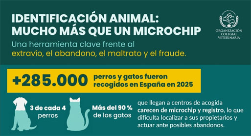 identificacion y registro newsletter
