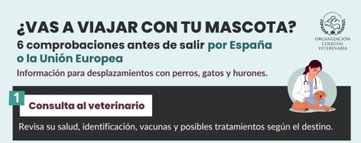 viajar ocv noticia