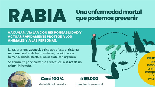 rabia newsletter