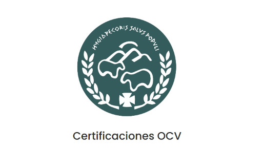 ocv certificaciones