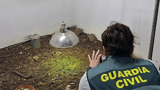 gc reptiles