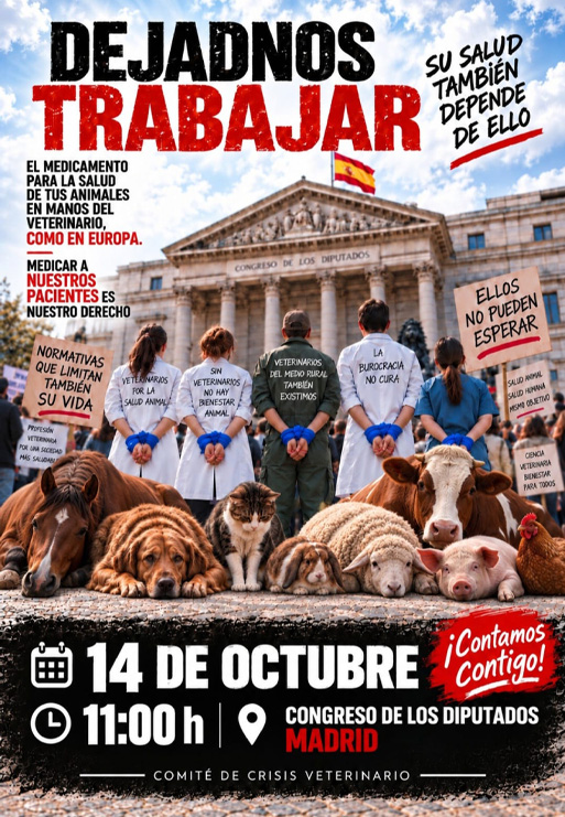 cartel 14.10.26