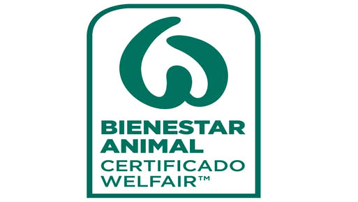 welfair