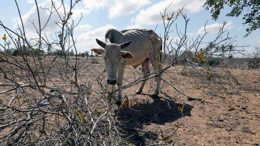 cambioclimatico2