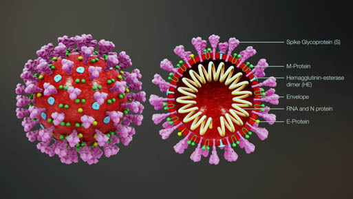 covidvirus