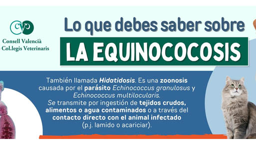 info-equino